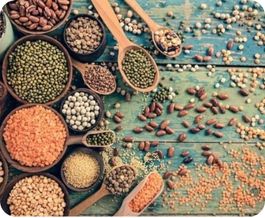 Nutrition  Check : Understanding  Balanced Diet